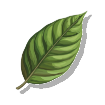 Mysterious Plant