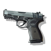 Gun