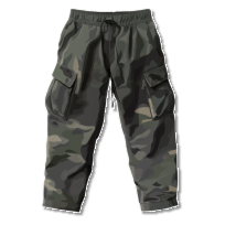 Advanced Pants